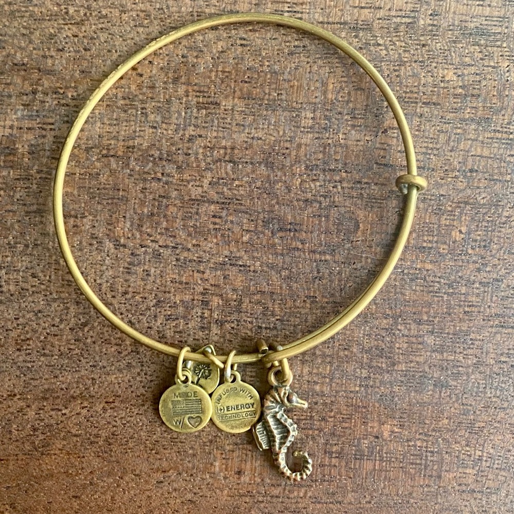 Alex and Ani seahorse bracelet.